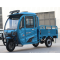 1000W Electric Tricycle Cargo Electric Adult